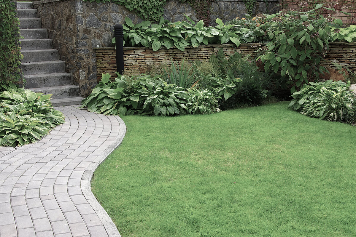 Welcome to Tom’s Landscaping